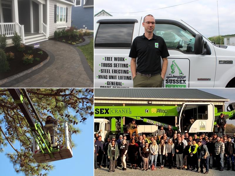 Sussex Tree - SavATree