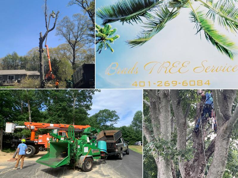 BRADS TREE SERVICE