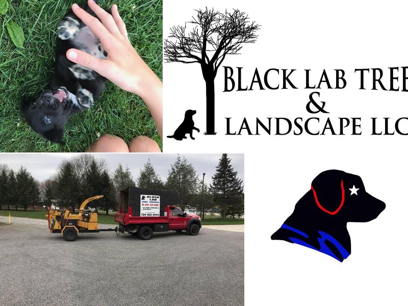 Black Lab Tree & Landscape, LLC