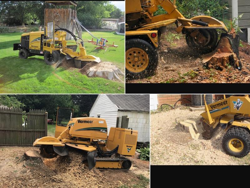 Stump Grinding by Precision
