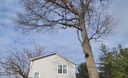 Bernes Tree Service