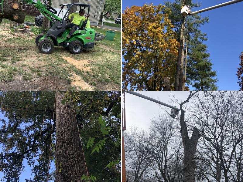 Prestige Tree Service