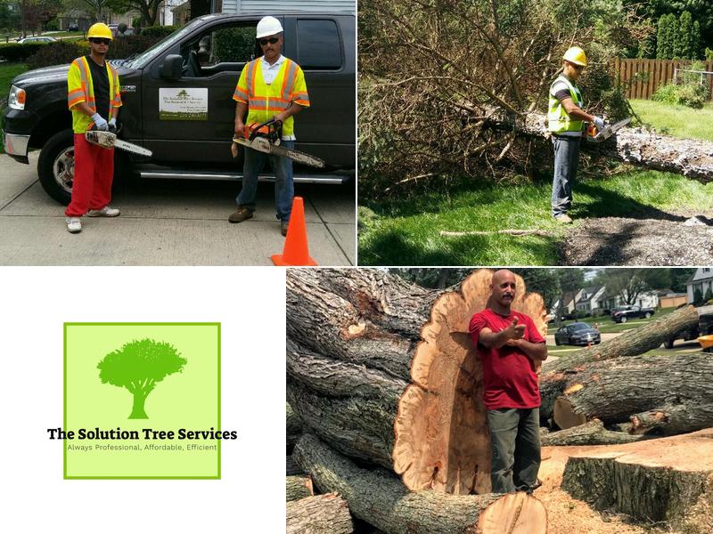 The Solution Tree Services LLC