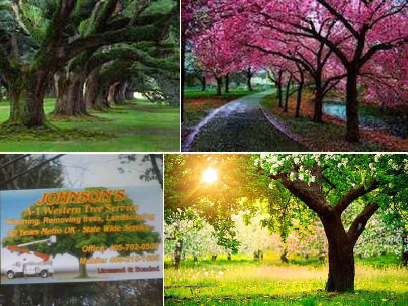 Johnson's A1 Tree Services