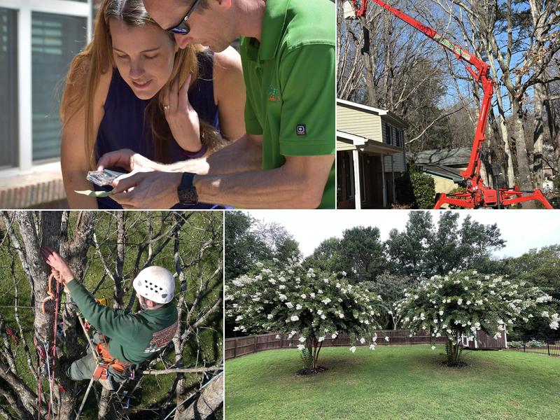 Schneider Tree Care - Charlotte
