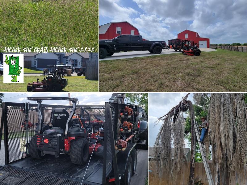 Texas made lawn and tree service