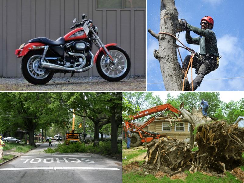 Corpus Christi Stump Grinding