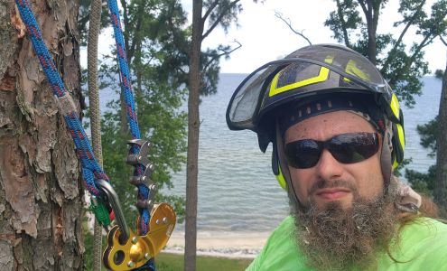 Northern Neck Arborist