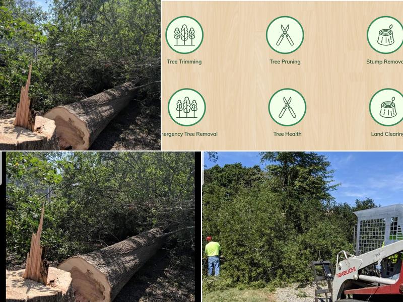 Carey's Tree Service