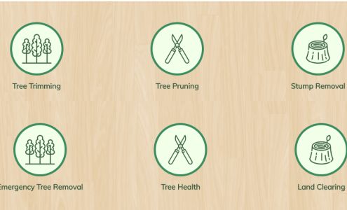 Carey's Tree Service 227 Calais Rd, Hague Virginia 22469