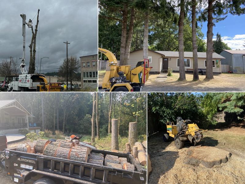 New Life Tree Service LLC