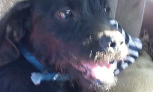 Cleverbrush 3474 S McCall Ave, Sanger California 93657