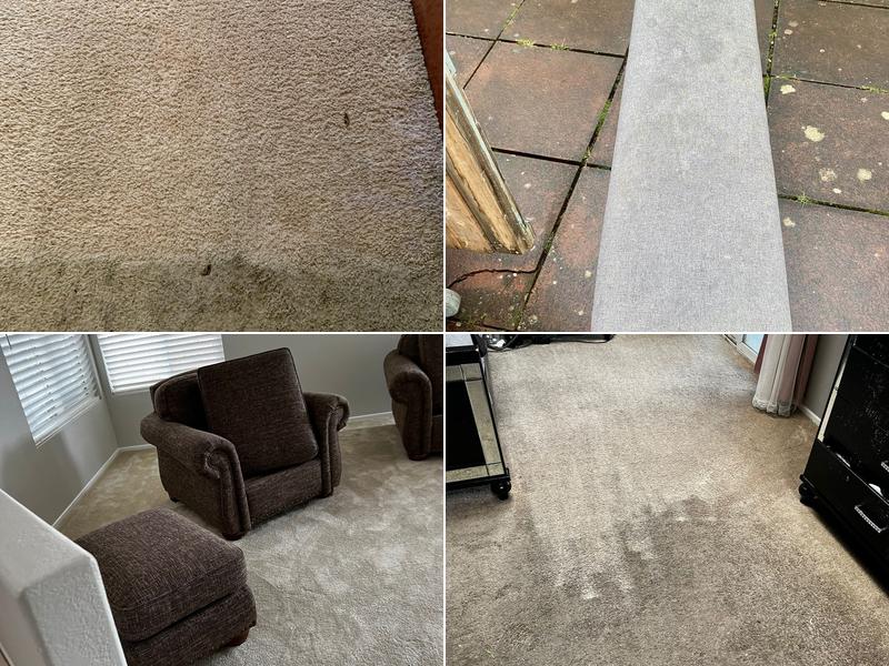 Drew's Carpet Cleaners