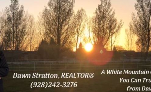 Dawn Stratton Realtor Show Low