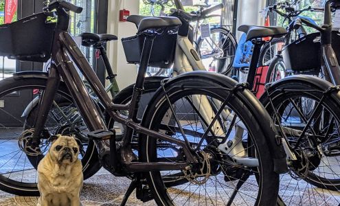 Victoria Electric Bikes