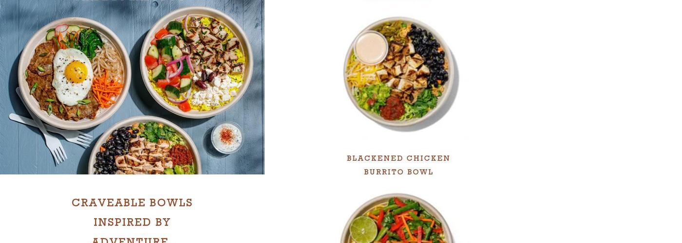 Roadtrip Bowls Made by Lazy Dog Menu