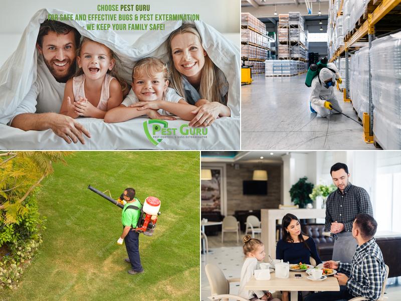 Pest Guru - Pest Control and Bugs Exterminator