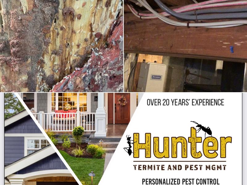 Hunter Termite And Pest MGMT