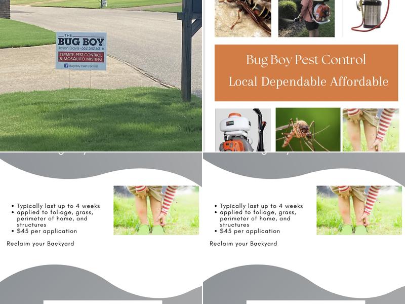 Bug Boy Pest Control