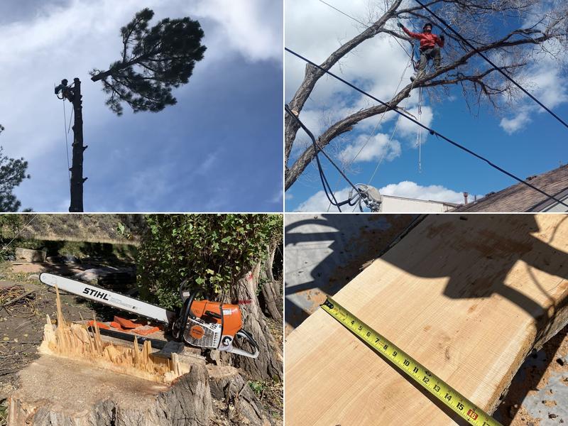 Tip Toppin Tree Service LLC