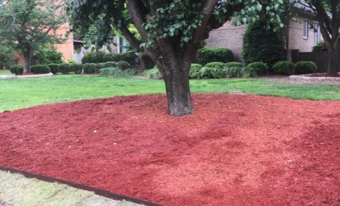 Eastern Carolina Lawn Care