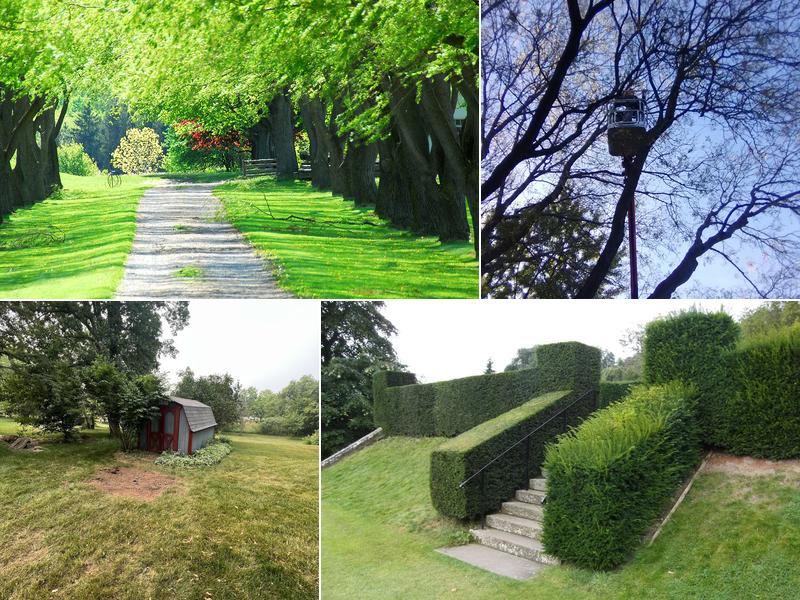 A New Leaf Tree Service