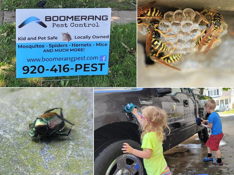 Boomerang Pest Control