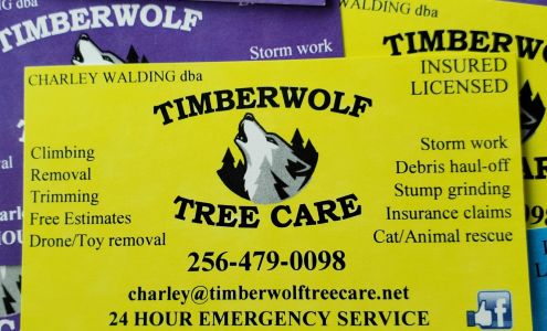 Timberwolf Tree Care 868 Morrow Mountain Rd, Somerville Alabama 35670