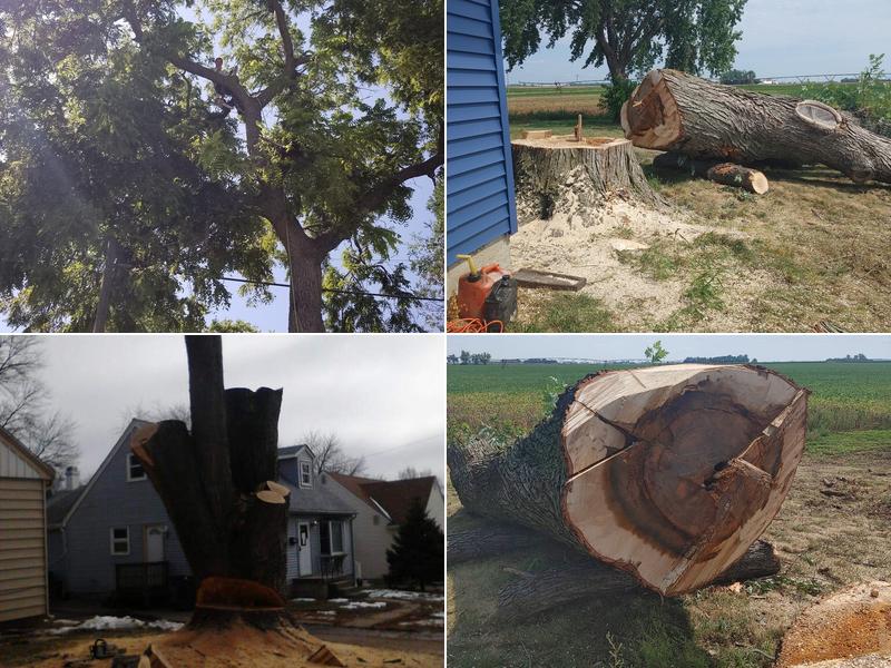 Adam's Tree Services