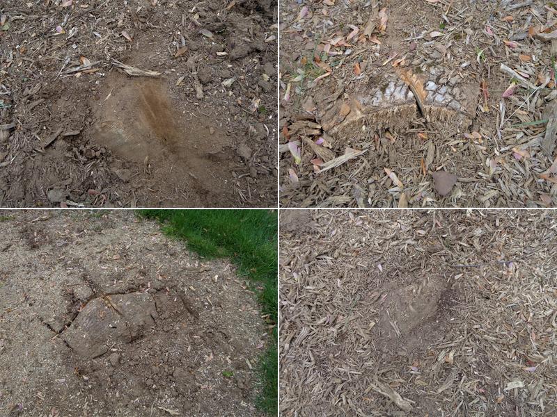 Cascade Tree Experts