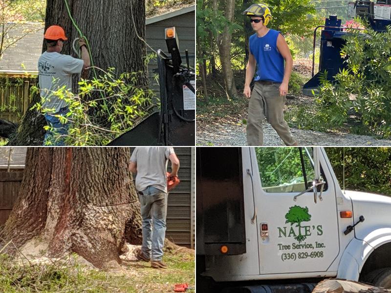 Nate's Tree Service, Inc.