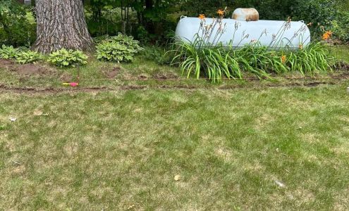 Advance Lawn Care & Landscape
