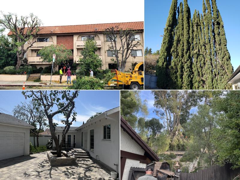 GRANADA TREE SERVICE