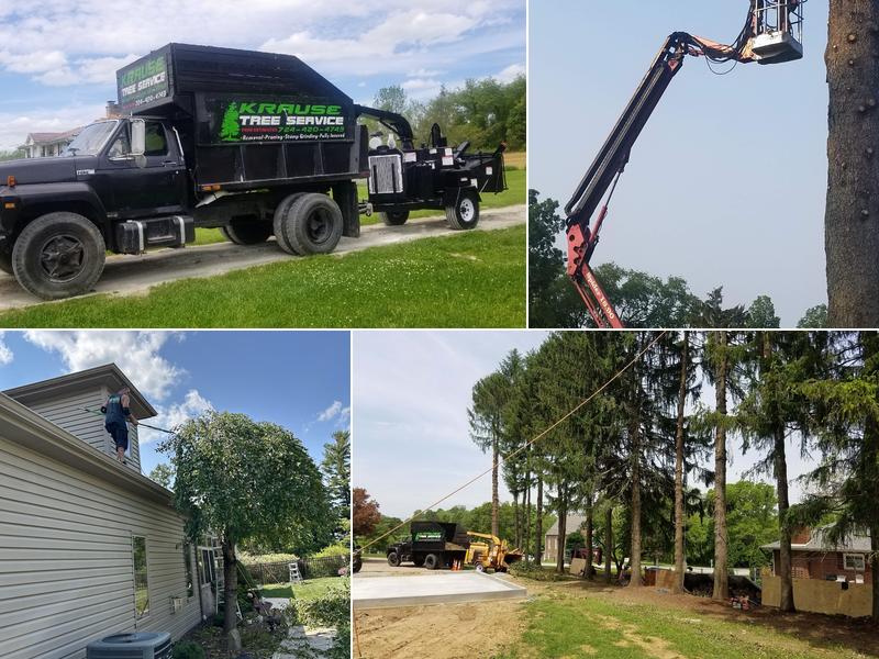 Krause Tree Service