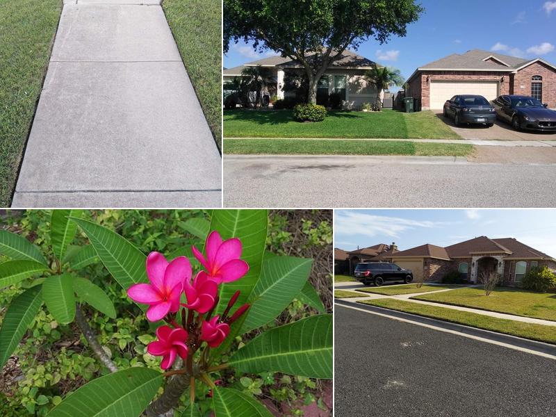 Molina Lawn and landscaping services