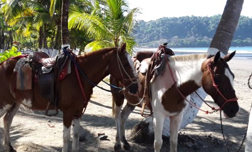 West Chester PA seamless gutters