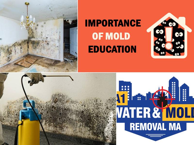 A1 Water & Mold Removal MA