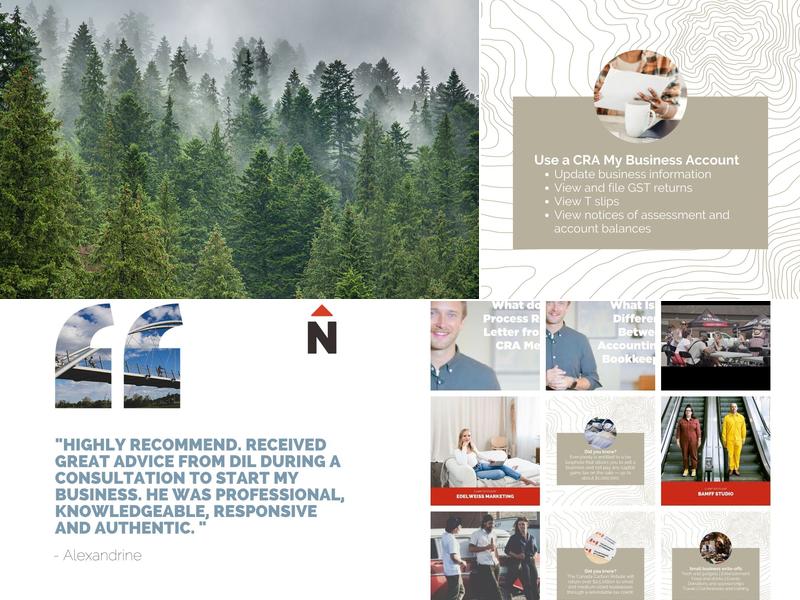 True North Accounting - Okotoks Small Business Accountant