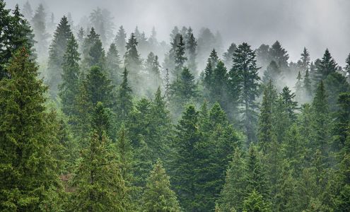 True North Accounting - Okotoks Small Business Accountant