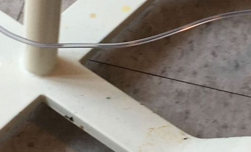 Lakeland Healthcare Laboratory: Blum Vincent MD