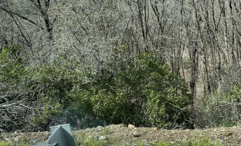 Sleepy Hollow MHP Lower Lake