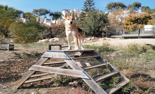 Bangor Cleaning Service