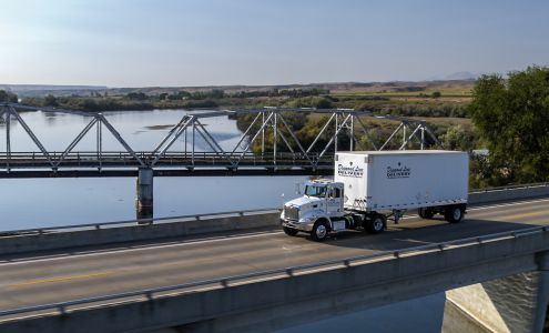 Diamond Line Delivery Systems, Inc.