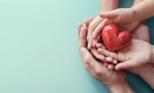 Mental Health Centers of Western Illinois 607 Buchanan St, Carthage Illinois 62321