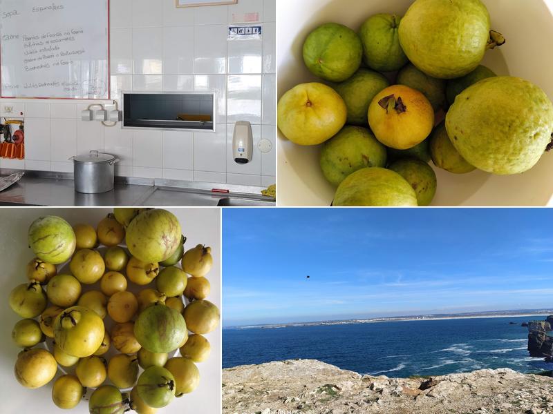 Frango da Popa R. Principal B