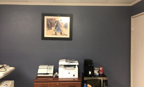 Insurance Group of Nevada Corp