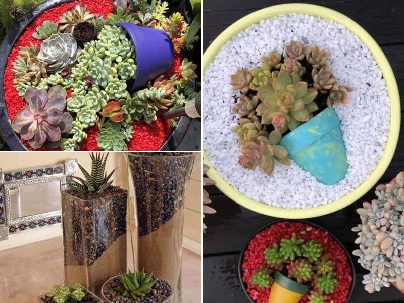 Café MilkShake R. São Pedro de Alcântara 1A