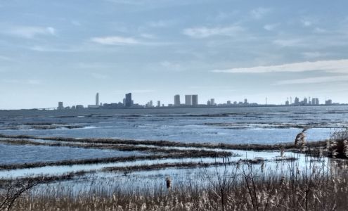 The Shore Cleaning Service