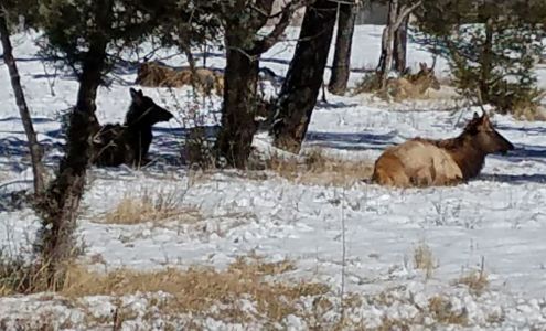 studio layne photography