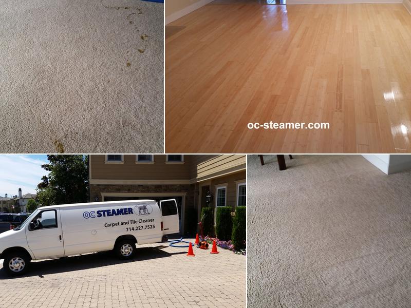 OC Steamer - Newport Carpet and Tile Cleaner